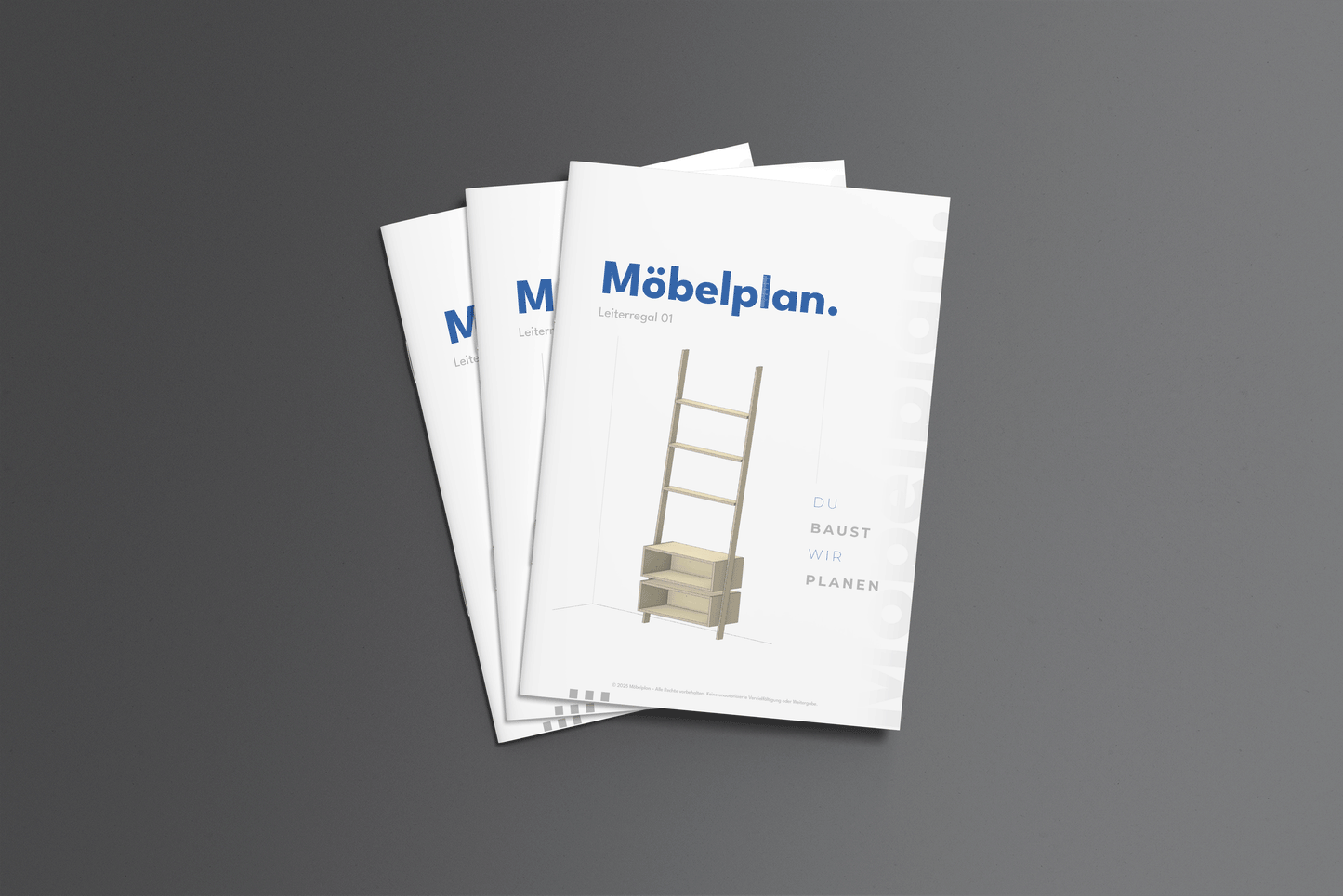 Leiterregal 01